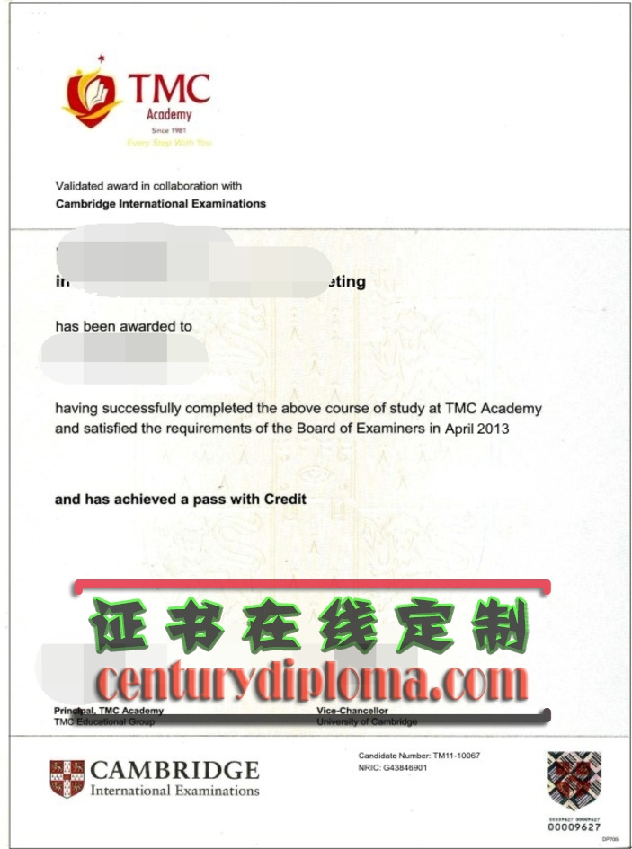 定制新加坡TMC学院文凭：轻松实现你的学业梦想